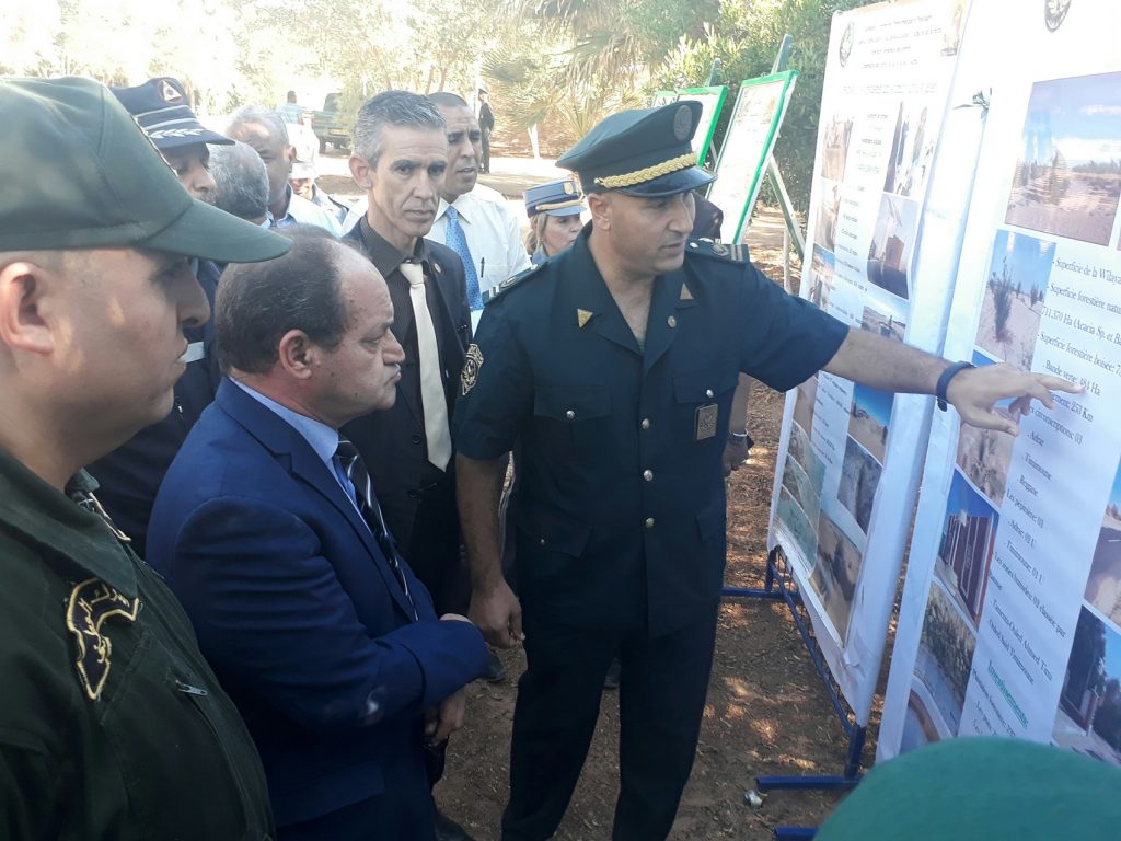 معا لتجديد الغابات المحترقة… شعار اليوم الوطني للشجرة لهده السنة