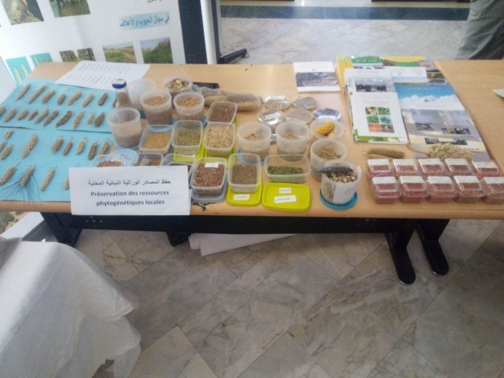 رقمنة القطاع وتنمية البذورالمحلية لتحقيق الأمن الغدائي أهم ما تناوله اليوم الوطني للفلاحة بأدرار